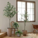 【ポイントUP】【公式】ユーカリ ウッドプランター H190cm 観葉植物 フェイクグリーン 【別倉庫直送品】 | GREENPARK 人工観葉植物 造花 おし...