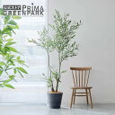 【公式】オリーブ GWプランター H180cm 観葉植物 フェイクグリーン 【別倉庫直送品】 | GREENPARK 人工観葉植物 造花 おしゃれ リアル イミ...