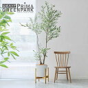 【公式】オリーブ GWプランター脚付 H195cm 観葉植物 フェイクグリーン 【別倉庫直送品】 | GREENPARK 人工観葉植物 造花 おしゃれ リアル ...