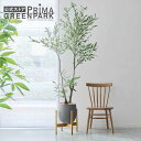 【ポイントUP】【公式】オリーブ エッグポット脚付 H200cm 観葉植物 フェイクグリーン 【別倉庫直送品】 | GREENPARK 人工観葉植物 造花 おし...