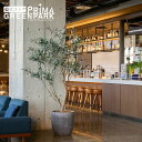 【ポイントUP】【公式】オリーブ ラウンド H200cm 観葉植物 フェイクグリーン 【別倉庫直送品】 | GREENPARK 人工観葉植物 造花 おしゃれ リ...