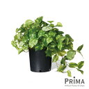 【ポイントUP】【公式】ポトス インナーポット 6号 観葉植物 フェイクグリーン | GREENPARK フェイクグリーン インテリア おしゃれ リアル イミテ...