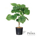 【公式】ウンベラータ インナーポット 5号 観葉植物 フェイクグリーン | GREENPARK フェイクグリーン インテリア おしゃれ リアル イミテーション ...
