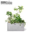 【公式】ミックスO テラメント W100cm 観葉植物 フェイクグリーン 【別倉庫直送品】| GREENPARK 人工観葉植物 造花 おしゃれ リアル イミテー...