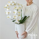 【公式】供花 仏花 胡蝶蘭 2本立ち プラージュ 造花 フラワーアレンジメント | PRIMA 仏壇用 仏壇 法事 お供え花 お供え お悔み お悔やみ 花 お彼...