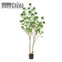【公式】アセビ インナーポット H215cm 観葉植物 フェイクグリーン 【別倉庫直送品】 | GREENPARK 人工観葉植物 造花 おしゃれ リアル イミテ...