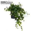 【公式】アイビー インナーポット 観葉植物 フェイクグリーン | GREENPARK 人工観葉植物 造花 おしゃれ リアル イミテーション インテリアグリーン ...