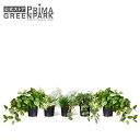 【公式】ミックスE インナーポット 5個セット 観葉植物 フェイクグリーン | GREENPARK 人工観葉植物 造花 おしゃれ リアル イミテーション インテ...