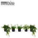 【公式】ミックスF インナーポット 5個セット 観葉植物 フェイクグリーン | GREENPARK 人工観葉植物 造花 おしゃれ リアル イミテーション インテ...