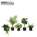 【公式】ミックスG インナーポット 5個セット 観葉植物 フェイクグリーン | GREENPARK 人工観葉植物 造花 おしゃれ リアル イミテーション インテ...