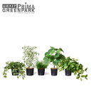 【公式】ミックスH インナーポット 5個セット 観葉植物 フェイクグリーン | GREENPARK 人工観葉植物 造花 おしゃれ リアル イミテーション インテ...