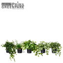 【公式】ミックスI インナーポット 5個セット 観葉植物 フェイクグリーン | GREENPARK 人工観葉植物 造花 おしゃれ リアル イミテーション インテ...