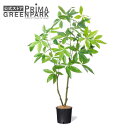 【公式】パキラ インナーポット H120cm 観葉植物 フェイクグリーン | GREENPARK 人工観葉植物 造花 おしゃれ リアル イミテーション インテリ...