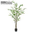【公式】ドウダンツツジ インナーポットH185cm 観葉植物 フェイクグリーン 【別倉庫直送品】 | GREENPARK 人工観葉植物 造花 おしゃれ リアル ...