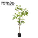 【公式】ハゼの木 インナーポット H150cm 観葉植物 フェイクグリーン 【別倉庫直送品】 | GREENPARK 人工観葉植物 造花 おしゃれ リアル イミ...