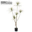 【公式】ドラセナ インナーポット H180cm 観葉植物 フェイクグリーン 【別倉庫直送品】 | GREENPARK 人工観葉植物 造花 おしゃれ リアル イミ...
