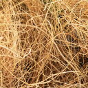 【公式】ココファイバー 50g 資材 観葉植物 造花 フラワーアレンジメント | GREENPARK 人工観葉植物 造花 おしゃれ リアル イミテーション イン...