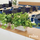 【公式】ポトス カウンターパーテーション 観葉植物 フェイクグリーン | GREENPARK 人工観葉植物 造花 おしゃれ リアル イミテーション インテリアグ...