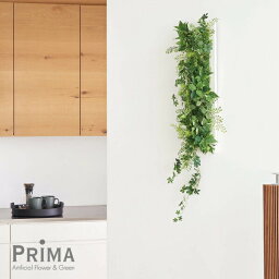 プミラ×シュガーバイン フレーム 観葉植物 フェイクグリーン | PRIMA GREENPARK フェイクフラワー インテリア ウォールフラワー フラワーリース スワッグ ギフト ウォールデコ 壁面 壁 おしゃれ ディスプレイ