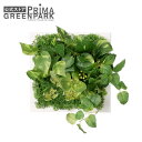 【ポイントUP】【公式】ポトス×ミント フレーム 観葉植物 フェイクグリーン | PRIMA GREENPARK フェイクフラワー インテリア ウォールフラワー...