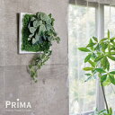 フィットニア×シュガーバイン フレーム 観葉植物 フェイクグリーン eco| PRIMA GREENPARK フェイクフラワー インテリア ウォールフラワー フラワーリース スワッグ ギフト ウォールデコ 壁面 壁 おしゃれ ディスプレイ