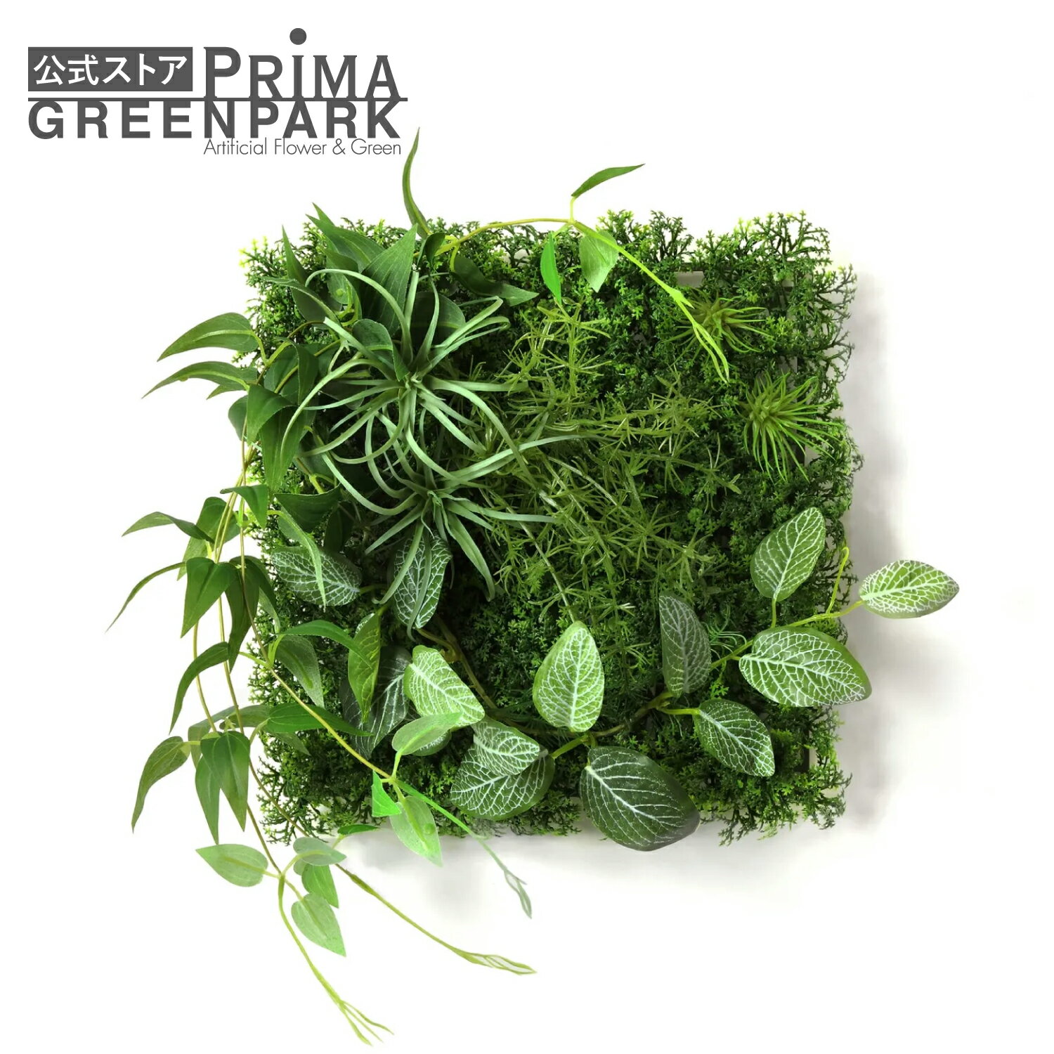 【公式】エアプランツ×フィットニア パネル 観葉植物 フェイクグリーン | GREENPARK フェイクフラワー インテリア ウォールフラワー フラワーリース スワッグ ギフト ウォールデコ 壁面 壁 おしゃれ ディスプレイ