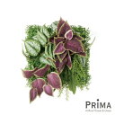 【公式】スキンダプサス×コリウス パネル 観葉植物 フェイクグリーン | PRIMA GREENPARK フェイクフラワー インテリア ウォールフラワー フラワ...