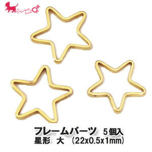 フレームパーツ 星形 大 (22x0.5x1mm)5個入り　 アクセサリーパーツ ハンドメイド UVレジン ミール皿 ..