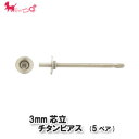 3mm芯立 チタンピアス(5ペア入り)　 