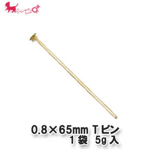 0.8×65mm 　Tピン　1袋 【5g入(約15本)