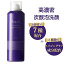 Reach 炭酸ムースフォーム 炭酸洗顔 スパークリング ムースフォーム 炭酸フォーム 150g 炭酸泡 濃密泡 炭酸 洗顔 毛穴 洗顔フォーム 炭酸泡 皮脂 弾力泡 洗顔料 パック スキンケア CO2 高濃度炭酸 グレープフルーツ香り【送料無料】