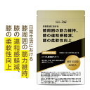 膝 サプリ 痛み 違和感 軽減 ウコン クルクミン 柔軟性 向上 トリプル 膝関節 サポート 痛み 膝周囲 の 筋力 維持 ターメリック 秋 機能性 サプリメン...