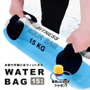 ウォーターバッグ 体幹 15kg / 15L サイズ 体幹トレーニング コアトレーニング タンク トレーニング ウォーター バック 水 ウエイトトレーニング ウエイト ウェイト 筋力 筋トレ [送料無料] スポーツ ジム 本格 簡単 母の日 プレゼント