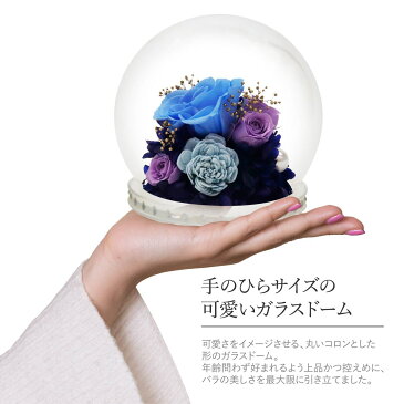 【誕生石カラー】 プリザーブドフラワー ガラスドーム ガラス ギフト 誕生日 プレゼント ガラスケース バラ 青いバラ ブルー グリーン 赤 仏花 ドーム ケース入り 枯れない プチ お祝い 結婚祝い プロポーズ 開店祝い 喜寿 祝い お供え 花 かわいい 通販