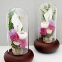 花 仏花 プリザーブドフラワー ガラスドーム 仏壇用 仏 正規品 おしゃれ お花 お供え 和室 モダン 位牌 文字彫り 木製 Aliceflower 通販 ギフ...