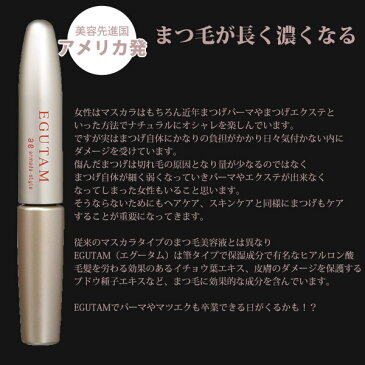 ポスト投函送料無料※条件付き アルマダスタイル まつ毛美容液 EGUTAM エグータム 2ml 筆タイプ 説明書付き 寝る前に塗るだけ 簡単ケア まつげが増える マツエク まつげパーマ マスカラ ダメージケア armada style