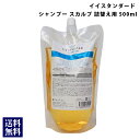 イイスタンダード イースタンダード シャンプー スカルプ 詰め替え 500ml E STANDARD スカルプケア 美容成分配合 天然由来成分 保湿 香り ヘアケア 正規品 通販 2024 母の日 プレゼント