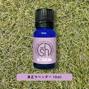 &SH 100%ピュア アロマ エッセンシャルオイル ( 精油 ) 真正ラベンダー 10ml アロマオイル [ 真正 ラベンダー癒し いい匂い ナチュラル 自然...