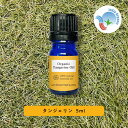 &SH アロマ エッセンシャルオイル ( 精油 ) 100%ピュア オーガニック認証 原料使用 タンジェリン オイル 5ml アロマオイル [ タンジェリンオイ...