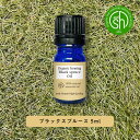 &SH アロマ オーガニック エッセンシャルオイル ( 精油 ) 100%ピュア ブラックスプルース 5ml アロマオイル  +lt3+