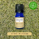&SH アロマ オーガニック エッセンシャルオイル ( 精油 ) 100%ピュア ユーカリ ディベス 5ml アロマオイル [ ユーカリディベス 癒し ナチュラ...