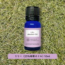 &SH アロマ エッセンシャルオイル ( 精油 ) 100%ピュア リリィ ( ゆり ) アブソリュート (25%希釈オイル)10ml アロマオイル [ リリー...