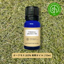 &SH 100%ピュア オークモス アブソリュート ( 65%希釈オイル ) 10ml エッセンシャルオイル スポイト付き [ oakmoss 精油 天然 自然...