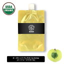 ＆SH アムラオイル 250ml ( 詰め替え ) キャリアオイル [ アーユルヴェーダオイル オーガニック認証 USDA ヘアケア 頭皮 髪の毛 アーユルヴェーダ インフューズドオイル オーガニック セサミオイル オイル ]【 定形外 送料無料 】 +lt3+