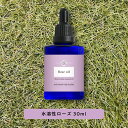 &SH アロマ 水溶性 エッセンシャルオイル ローズ 30ml アロマオイル [ 水に溶ける ROSE ハマナスローズ 癒し いい匂い ナチュラル 自然派 アロ...