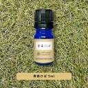 &SH アロマ エッセンシャルオイル ( 精油 ) 天然100%ピュア 青森 ひば油 5ml [ 青森 消臭 加齢臭 抗菌 体臭 ダニ ヒバ油 青森ひば 青森ヒ...