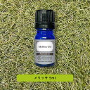 &SH プレミアム エッセンシャルオイル メリッサ ( レモンバーム ) 5ml / アロマ 精油 植物100% 天然 ピュア アロマオイル オイル ギフト プ...