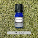 &SH プレミアム エッセンシャルオイル パチュリ ( パチュリー ) 5ml / アロマ 精油 植物100% 天然 ピュア アロマオイル オイル ギフト プレ...