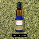 &SH エクセレント エッセンシャルオイル ペパーミント 10ml スポイト型 [ アロマ 精油 植物100% ピュア アロマオイル オイル ギフト プレゼント...