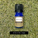 &SH エクセレント エッセンシャルオイル イランイラン 1st ( ファースト ) 5ml [ アロマ 精油 植物100% 天然 アロマオイル オイル ギフト プレゼント アロマストーン ディフューザー と セット で おすすめ ルームフレグランス いい香り ]